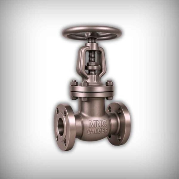 Gate Valve Manufacturers in Ahmedabad, India