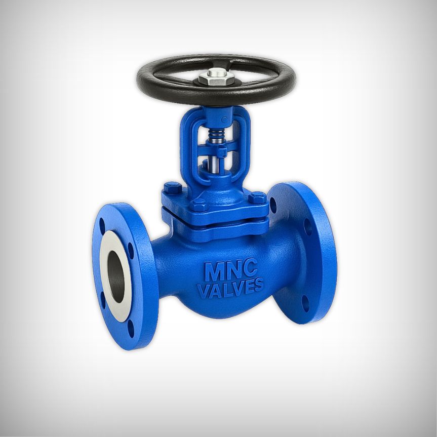 CS ND-40 Globe Valve Flanged - MNC VALVES - Ahmedabad, India