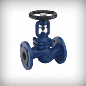 CS ND-40 Globe Valve Flanged - MNC VALVES - Ahmedabad, India