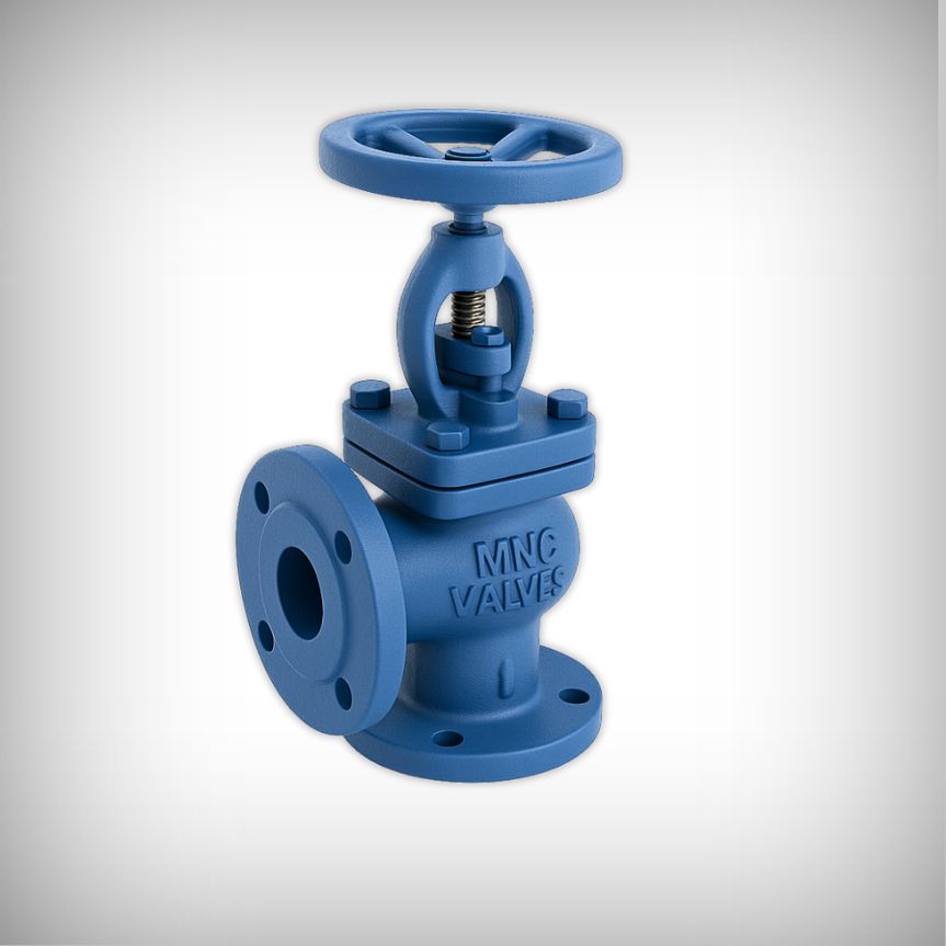 CS Angle Globe Valve Flanged - MNC VALVES - Ahmedabad, India