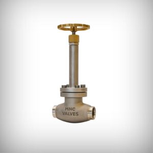 SS Cryogenic Globe Valve Screwed - MNC VALVES - Ahmedabad, India