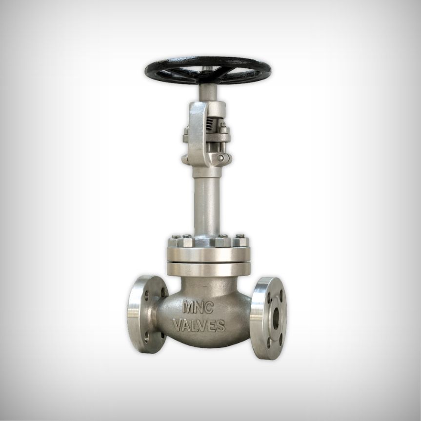 GLV 4409 SS Cryogenic Globe Valve Flanged - MNC VALVES - Ahmedabad, India