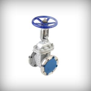 SS304/SS316 Gate Valve Flanged - MNC VALVES - Ahmedabad, India