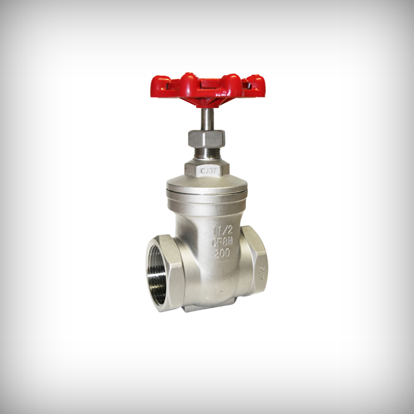 CS / SS304 / SS316 Gate Valve Screwed - MNC VALVES - Ahmedabad, India