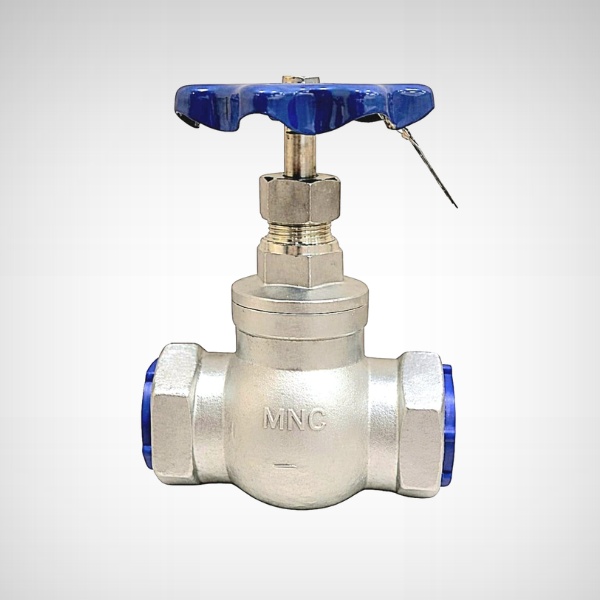 SS Globe Valve Screwed Manufacturers - MNC VALVES - Ahmedabad, India