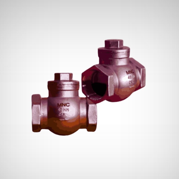 SS Swing Check Valve Screwed - Manufacturers - MNC VALVES