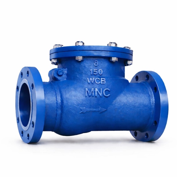 Swing Check Valve Manufacturers - MNC VALVES - Ahmedabad, India