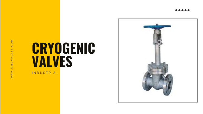 Cryogenic Valves Manufacturer & Exporter Ahmedabad, India