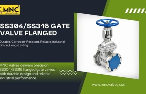 SS304 / SS316 Flanged Gate Valve Manufacturer in India | MNC Valves
