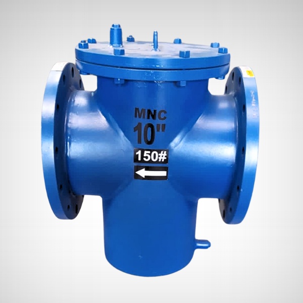 Basket Strainer – Flanged End Manufacturers in Ahmedabad, India